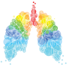 Abstract illustration of a human lung