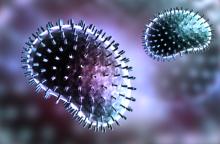 Microscopic view of influenza virus
