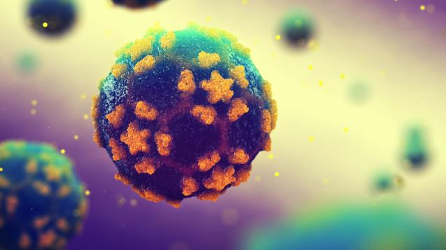 Close up of the polio virus