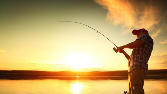 Man reels in a fish while the sun sets (or rises) on a lake