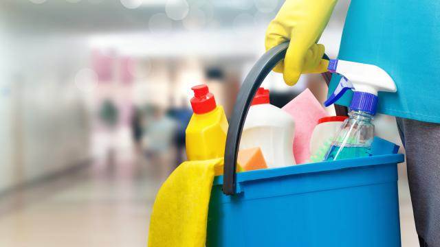 Bucket of cleaning products being carried