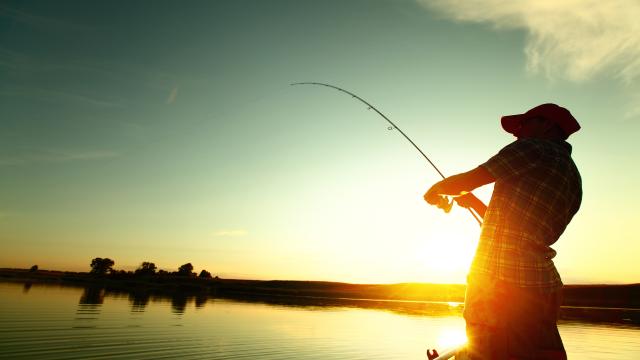 At sunset, an adult reeling in a fish on a boat.