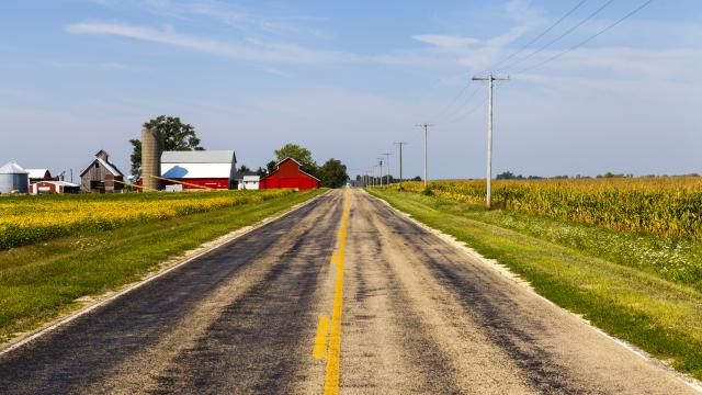 Road through farmland