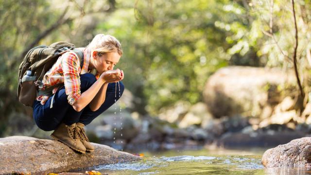 An adult crouched down on a rock to drink water from mountain stream.