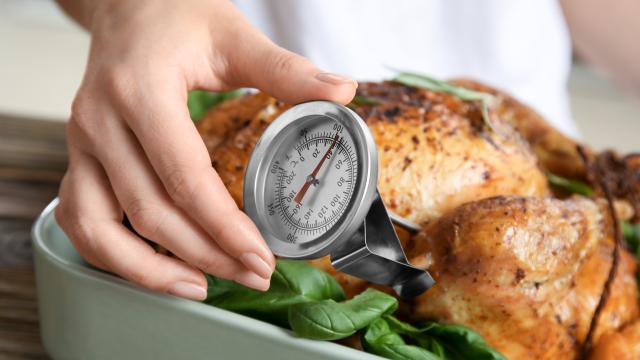 Checking internal temperature of whole turkey with meat thermometer