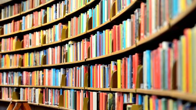 Curved bookshelves at a library with a small ladder