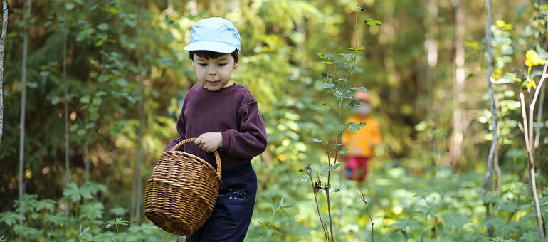 Children carry baskets while mushroom hunting in the woods