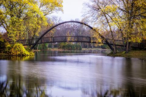 Tenny park arched bridge in the Fall