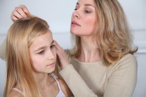 An adult checking a child's hair for lice.