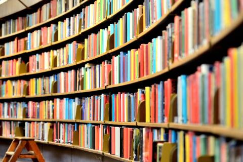 Curved bookshelves at a library with a small ladder