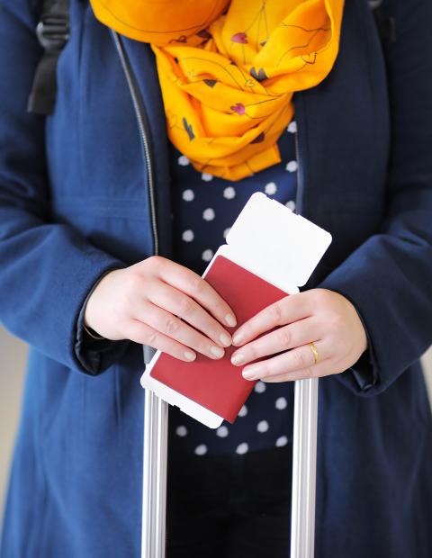 Hands holding a passport.