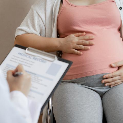 Pregnant adult holding belly while doctor takes notes