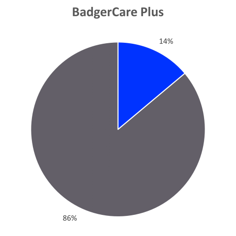 BadgerCare Plus Enrollment by Ethnicity: 14% Hispanic, 86% not Hispanic