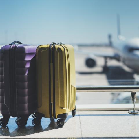 Two wheeled suitcases and a blurred airplane in background.