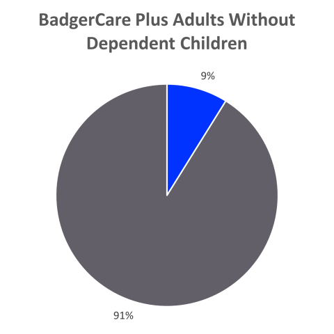 BadgerCare Plus Adults Without Dependent Children Enrollment by Ethnicity: 9% Hispanic, 91% not Hispanic