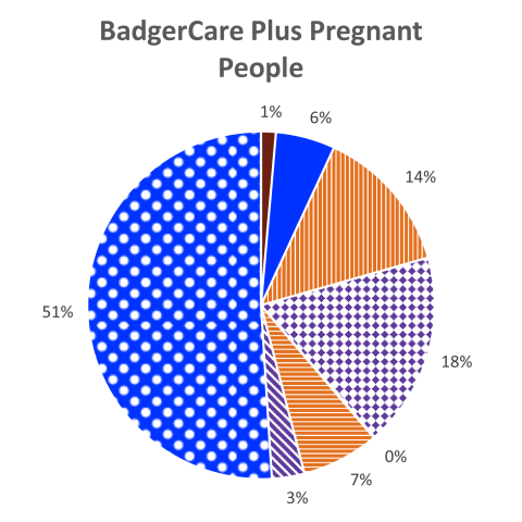 BadgerCare Plus Pregnant People Enrollment by Race: 1% American Indian/Alaska Native, 6% Asian, 14% Black/African American, 18% Hispanic or Latino, 0% Hawaiian/Other Pacific Islander, 7% Not Provided, 3% Other Race or Ethnicity, 51% White