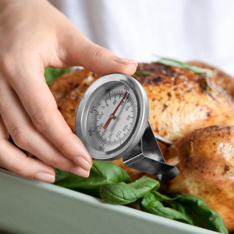 Checking internal temperature of whole turkey with meat thermometer