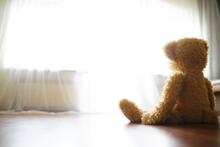 A stuffed bear sits on the floor next to a sunlit window