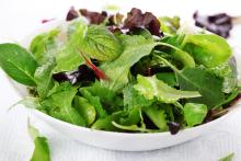 Bowl of salad lettuces