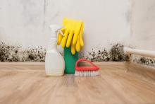 Cleaning supplies for mold cleanup