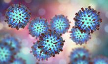 3D graphic of the Measles virus
