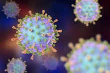 Close up view of mumps virus