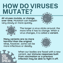 How viruses mutate and why getting vaccinated can reduce virus ability to keep mutating