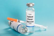 Two vials of live Yellow Fever Vaccine and a syringe