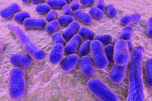 Close-up of Acinetobacter bacteria