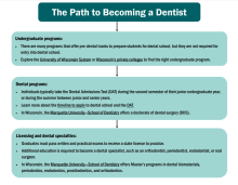 Thumbnail of The Path to Becoming a Dentist publication.
