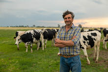 Farmer stands in a field with cows