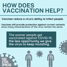 How viruses mutate and why getting vaccinated can reduce virus ability to keep mutating