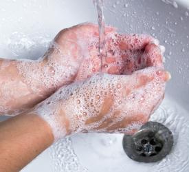 Washing hands with soap in sink