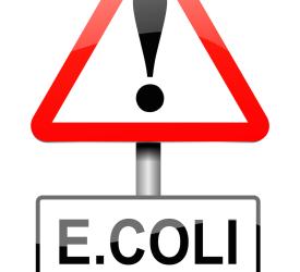 E. coli underneath exclamation triangle sign