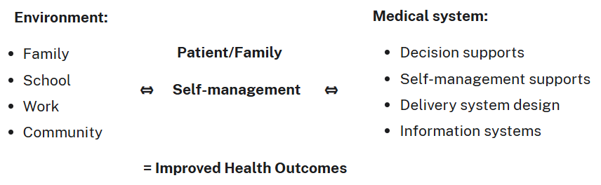 A screenshot of the obesity care model showing the link between the environment, the medical system and improved health outcomes