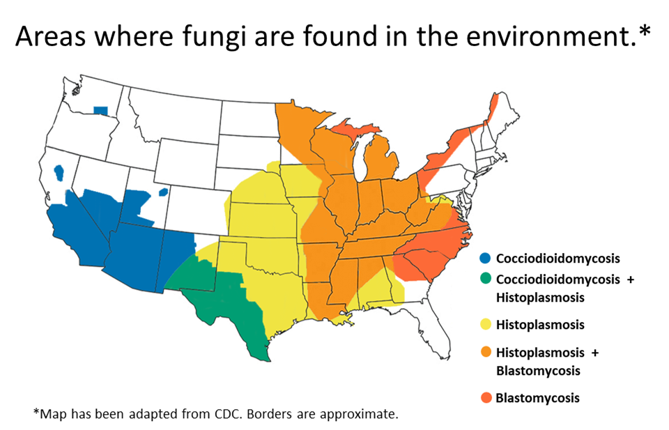 United States map showing the five types of fungi.