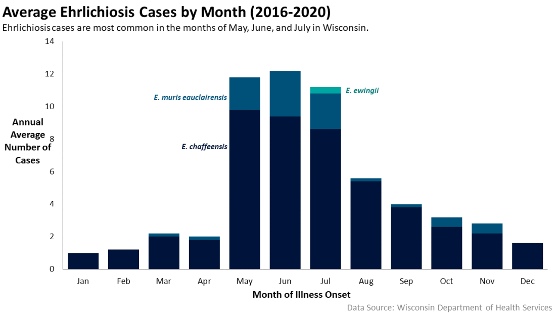 Average ehrlichiosis cases by month